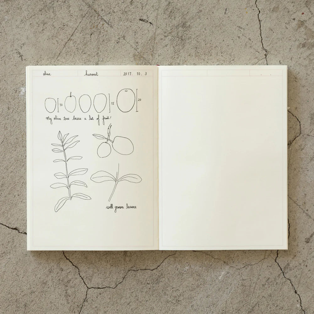 MD A5 Notebook Journal - Frame