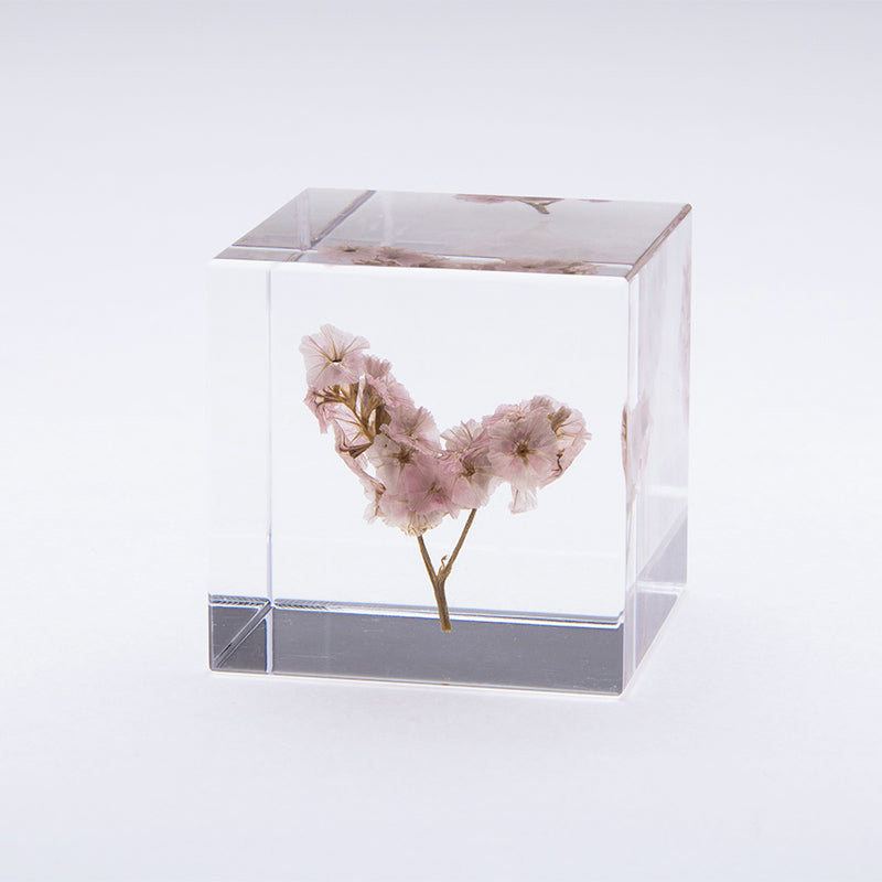 Sea Lavender Cube
